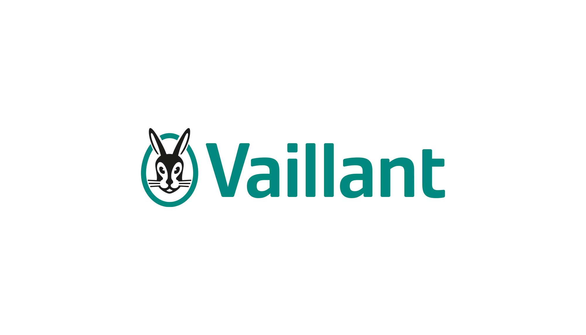 cover_vaillant_web